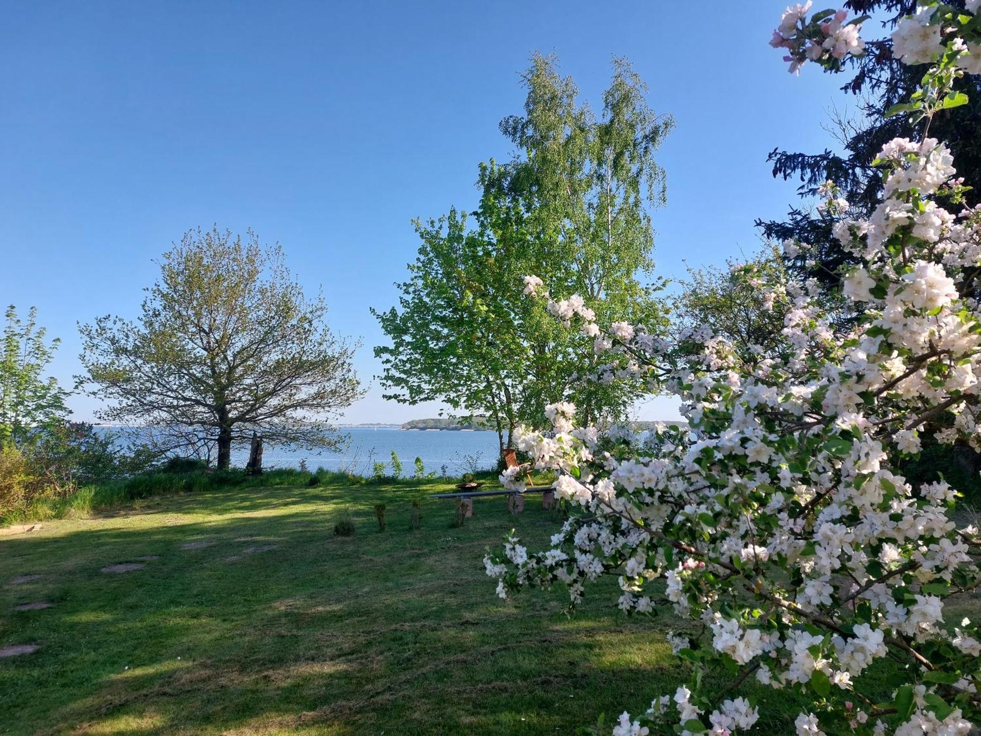 Apartments Sonne Am Sund Στράλσουντ Εξωτερικό φωτογραφία